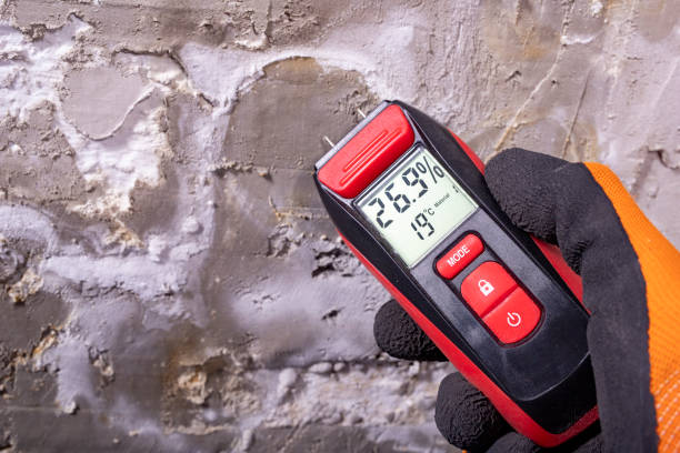 Best Mold Removal Specialists  in Las Flores, CA