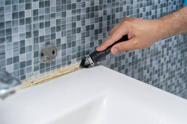 Mold Testing and Removal in Las Flores, CA